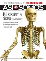 Así Somos - El cuerpo humano